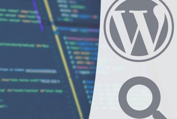 avantages plugin WordPress sure mesure -développement des plugins WordPress - création des plugin